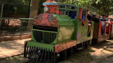 Photo of Trenecitos de El Centenario y Animaya, gratis 29 y 30 de abril 