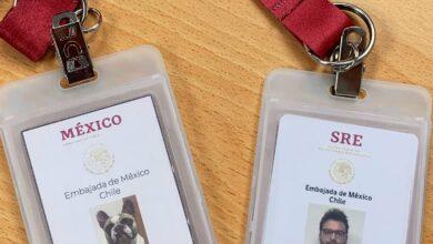 Photo of Embajador de México en Chile presume credencial de su perro como “diplodog”