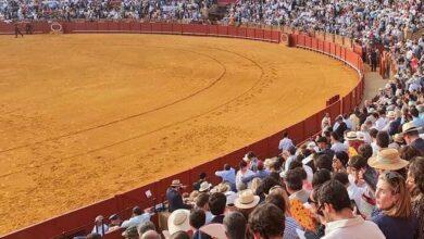 Photo of Cancelan corridas de toros en San Cristóbal de las Casas