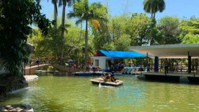 Photo of Zoológicos recibieron a más de 27 mil personas en puente santo 