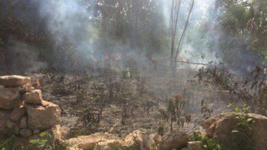 Photo of A proceso por quemar los cultivos de su vecino en Oxkutzcab