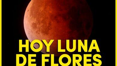 Photo of Hoy habrá la luna de flores y el eclipse lunar