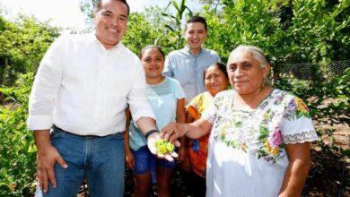 Photo of Renán Barrera promocionará a productores yucatecos en Mérida