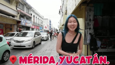 Photo of “Chingu Amiga” lanza video grabado en Mérida. VIDEO