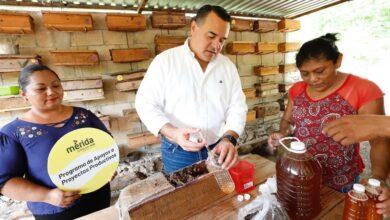 Photo of Renán Barrera anuncia el “Festival de la Miel”