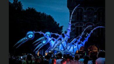 Photo of ¡Hoy! Desde Holanda, “Birdmen: Los pájaros luminosos”