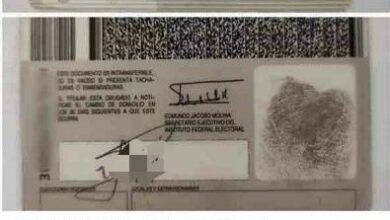 Photo of En redes venden presunta credencial de elector de Chabelo