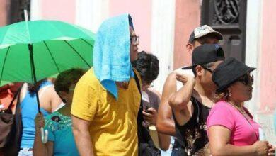Photo of Temperaturas alcanzan los 43 grados; pide tomar precauciones