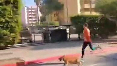 Photo of “Chicles”, lomito que corrió un maratón y subió al podio