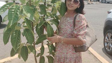 Photo of Celebra el “cumpleaños” del árbol que sembró en una plaza comercial