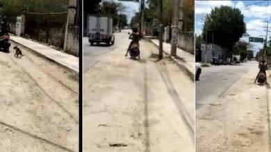 Photo of Motociclista amarra y arrastra a perrito por calles de Ticul