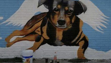 Photo of Dedican mural al perrito Scooby en Tecámac