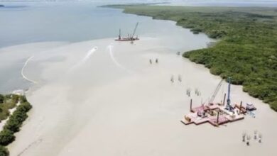 Photo of Denuncian ante Profepa tala de manglares en Cancún
