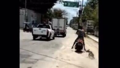 Photo of Motociclista arrastra a perro por calle de Ticul. VIDEO