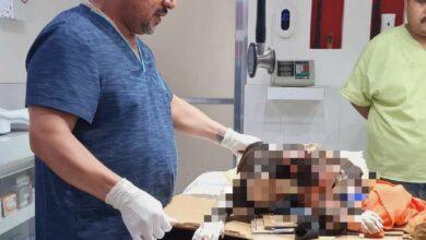 Photo of Arrojan ácido a perrito, piden ayuda para tratamiento