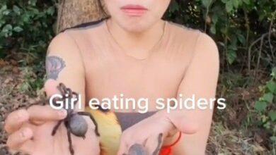 Photo of Mujer sorprende al comer tarántulas vivas. VIDEO 