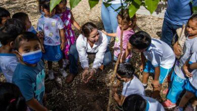 Photo of “Un niño, un árbol”: más de 75 mil plantas en escuelas