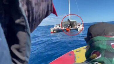 Photo of Así fue el momento exacto del rescate de Timothy y “Bella”. VIDEO