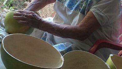 Photo of ¿Cómo se hace una jícara? El “Yeti” maya 
