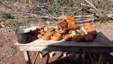 Photo of Primicias: tradición para agradecer por las cosechas