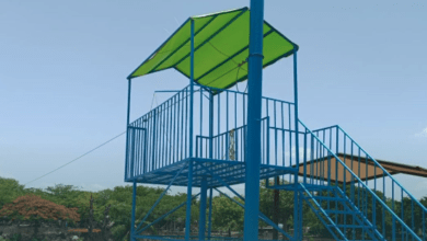 Photo of Zoológico Animaya estrenará tirolesa