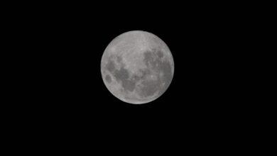 Photo of Luna de Ciervo, beso cósmico y lluvia de estrellas, trae el calendario astronómico de julio