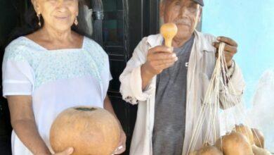 Photo of El calabazo, el yeti yucateco que corre peligro de desaparecer