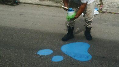 Photo of Con “huellitas azules” buscan cuidar a perritos callejeros