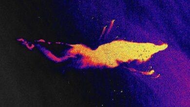 Photo of Pemex reconoce megaderrame de petróleo