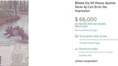 Photo of Billete del ajolote se vende en 66 mil pesos