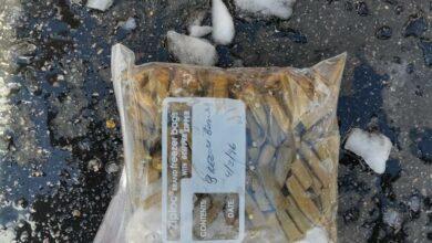 Photo of Descongelan su “refri” y encuentran comida de 1996