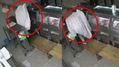 Photo of Captan a «fantasma» robando en una carnicería. VIDEO