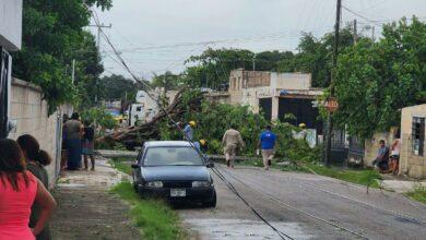 Photo of Tornados en Mérida se volverán más comunes: experto