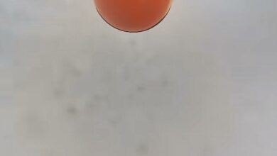 Photo of Paracaidista muestra el interior de una nube. VIDEO