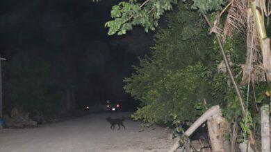 Photo of Supuesto “uay chivo” atemoriza Panabá 