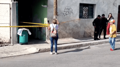 Photo of Decapitan a perrito en Chuburná