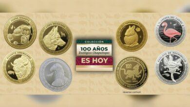 Photo of Anuncian nueva fecha para comprar monedas del Zoológico de Chapultepec