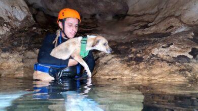 Photo of Rescatan a perrita “Shakira” atrapada en cenote 