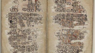 Photo of Códice de París, pergamino sagrado Maya en Francia