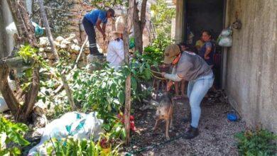 Photo of Rescatan a perro que cayó a un pozo en Motul
