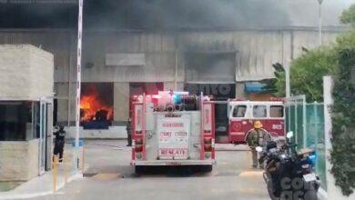 Photo of Descartan heridos en mega incendio de la Mérida – Progreso