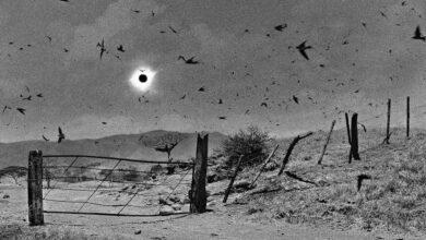 Photo of La increíble fotografía de un eclipse solar en 1990 
