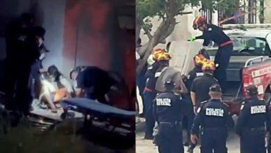 Photo of Sujeto que perdió brazo atacado por pitbulls pide justicia