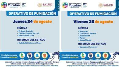 Photo of Continúan operativos contra el dengue 