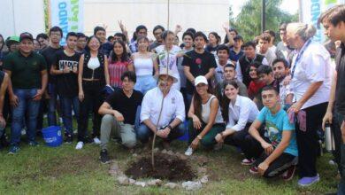 Photo of “Arborizando Yucatán” llega a universidades