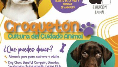 Photo of Invitan al “Croquetón 2023” para apoyar a perritos y gatitos