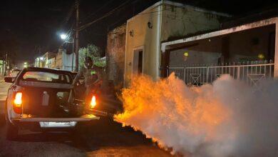 Photo of Gobierno fortalece acciones contra el dengue