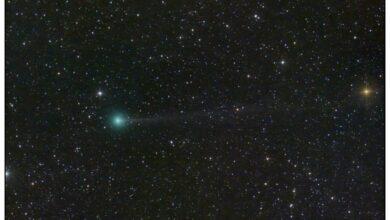 Photo of Ya se acerca el cometa Nishimura brillará al máximo en el fin de semana