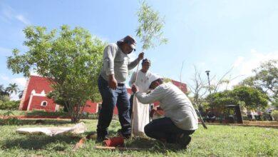 Photo of Ciudadanía contribuye con arborización