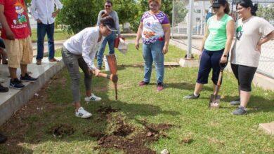 Photo of Ciudadanía se suma a “Arborizando Yucatán”